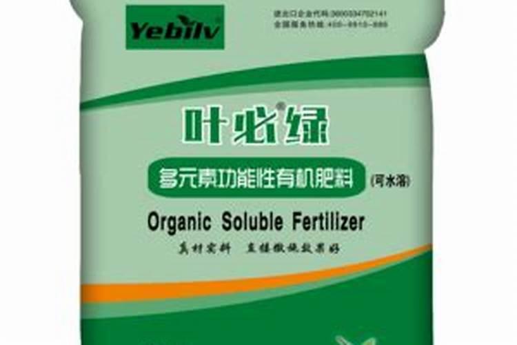 柑橘用什么肥料好