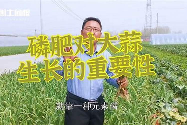 怎样用简易的方法鉴别常用的化肥？