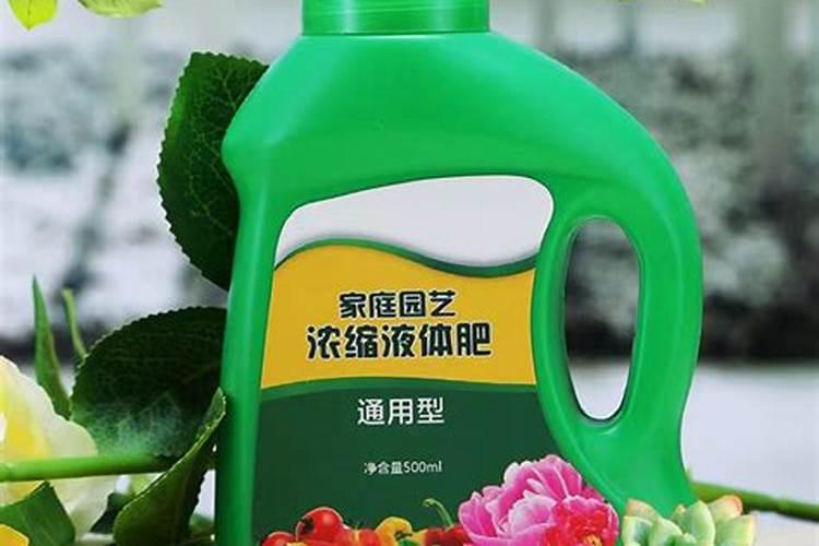 叶片发黄是缺什么