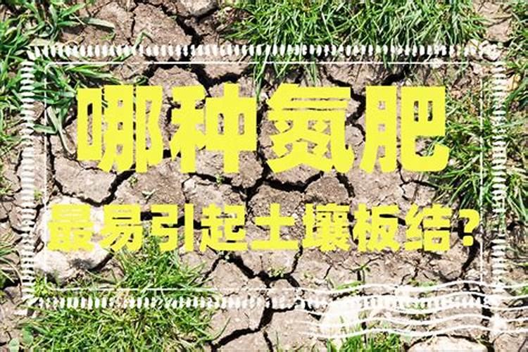 什么是平衡施肥