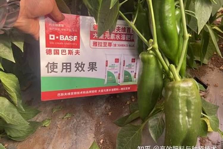1千克液体氮肥兑多少水