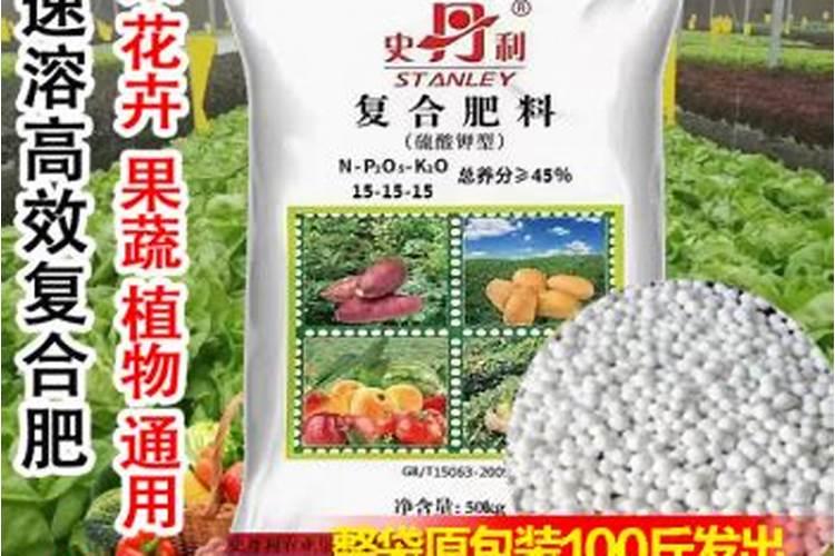 栀子花怎么施肥