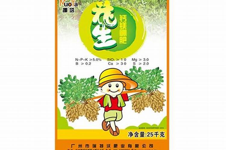 种花生用哪些中微量元素肥