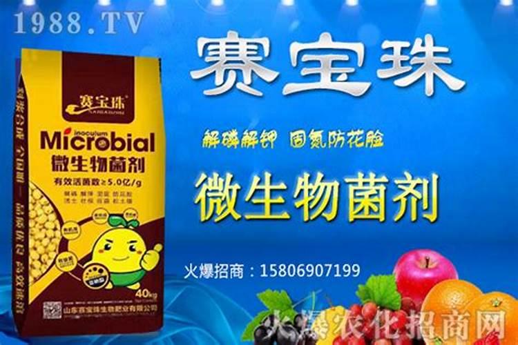 钙肥能与大量元素水溶肥同时冲施吗