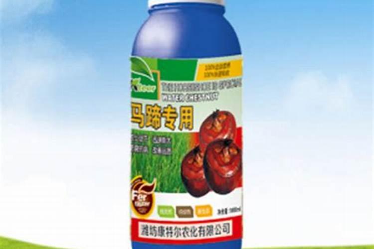 马蹄什么时候施膨果肥