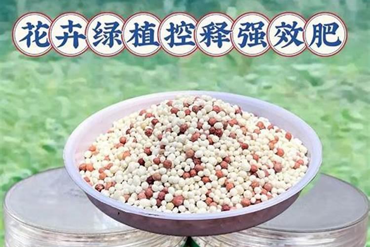辣椒初花期需要什么肥