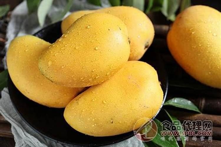 可溶性食用鱼蛋白特性与营养质量