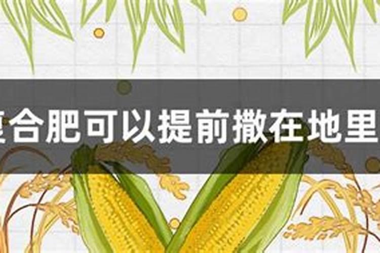 磷肥的最佳使用时间及用量