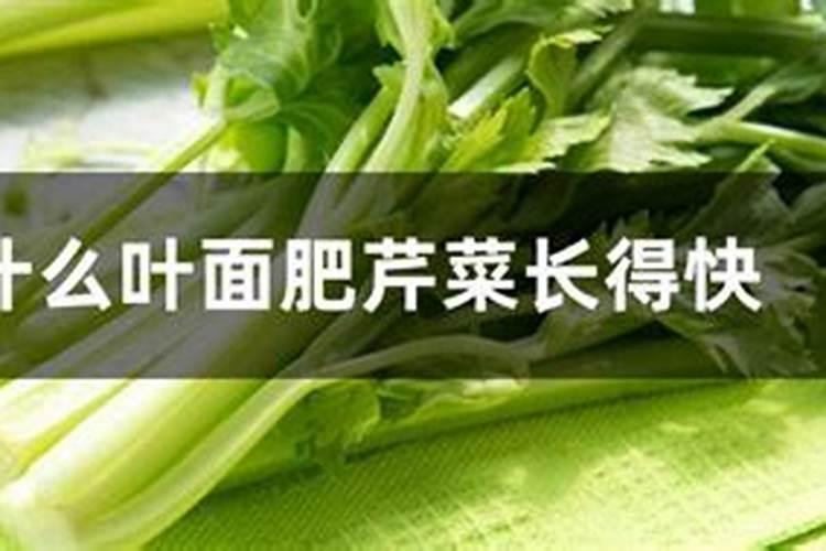 芹菜打什么农药好
