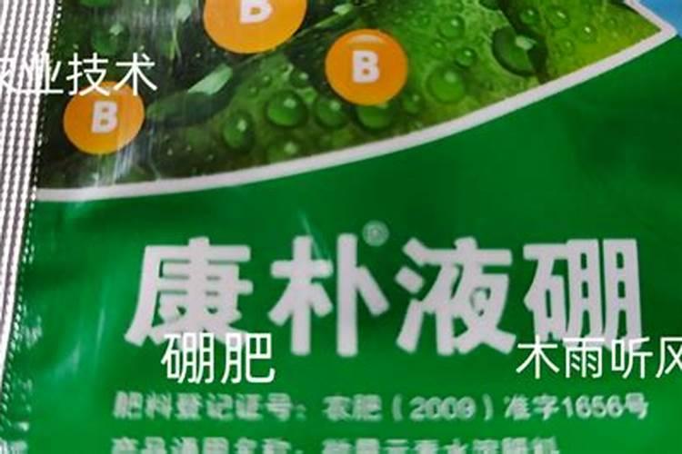 滴水观音用什么肥料最好
