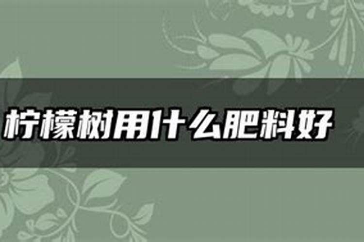 柠檬树施什么肥料最好