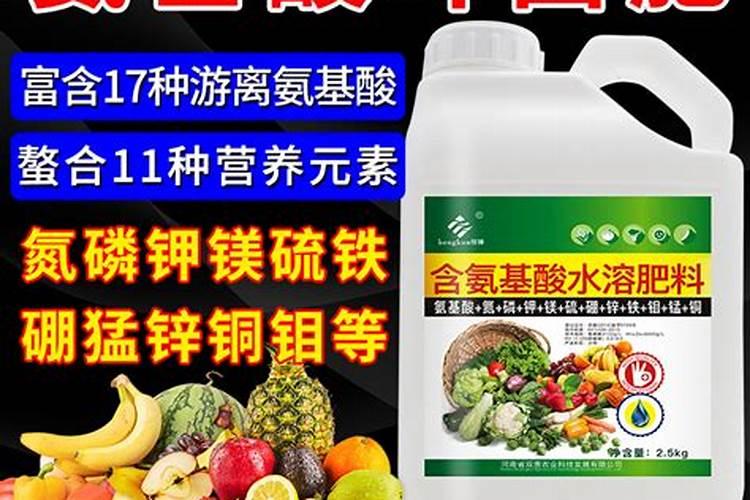 盆栽月季花要施什么肥,一般什么时候施肥？
