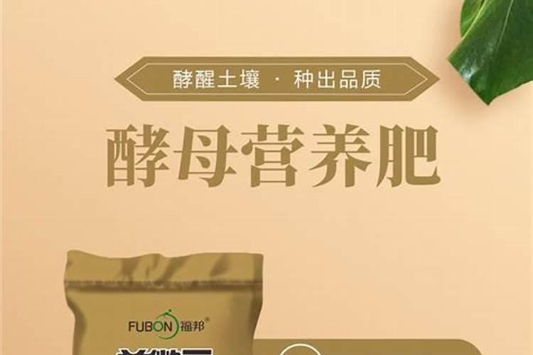 发酵黄豆水可以浇花吗？