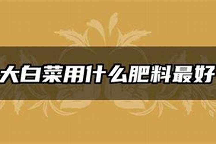 大白菜施什么肥好