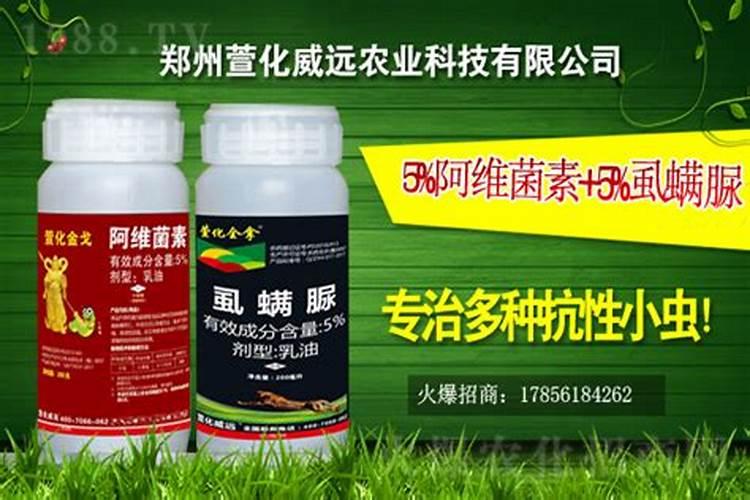 芒果施肥方法和注意事项 如何给芒果施肥