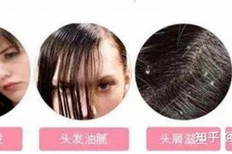 芒果种植技术与管理方法 高产栽培技术