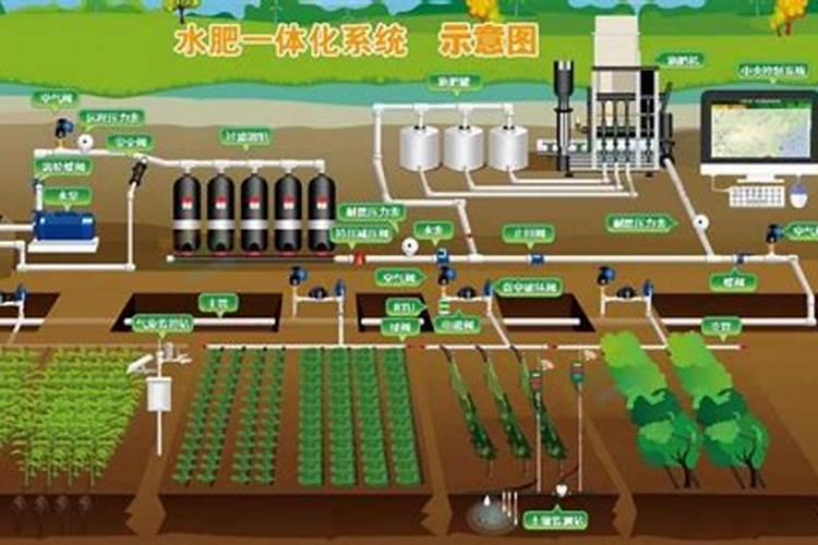 芒果施肥时间,芒果施肥技术与管理