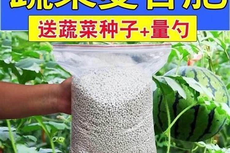 刚种的芒果树怎么施肥