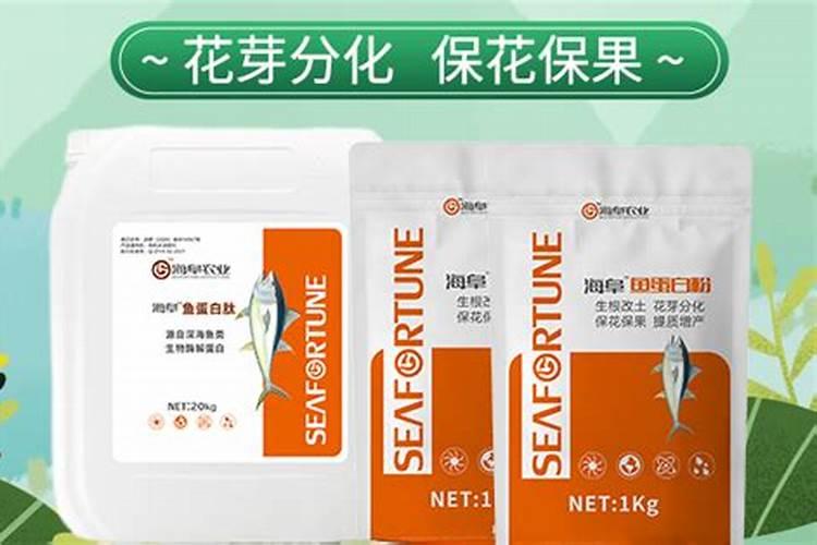 草莓根腐病能治好吗