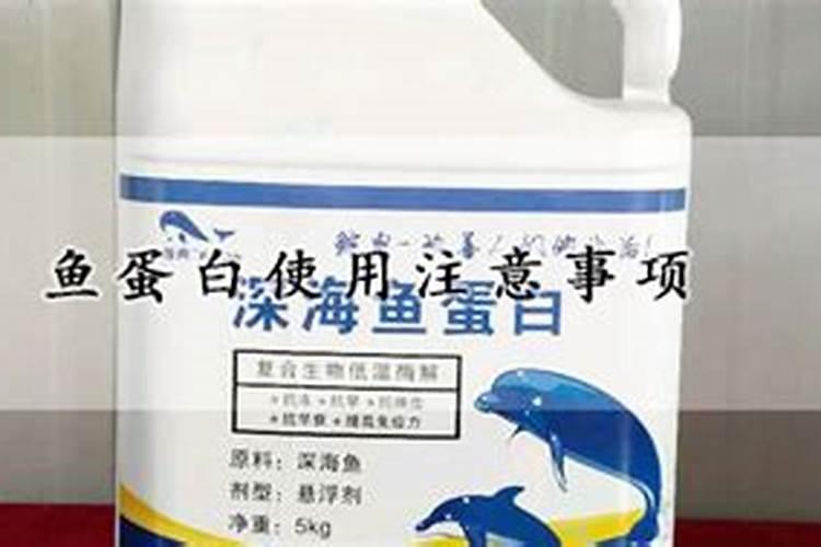 鱼蛋白自制配方比例