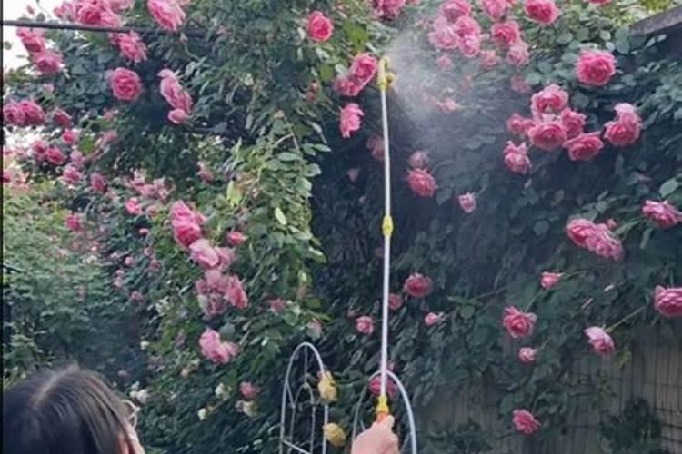 沂水花生粕有几家