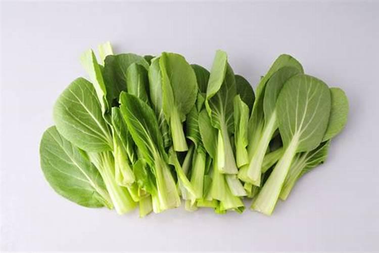 小青菜多大可以浇尿素？