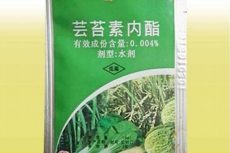 芸苔素喷玉米真的能增产吗(玉米喷施使用芸苔素最佳时间)
