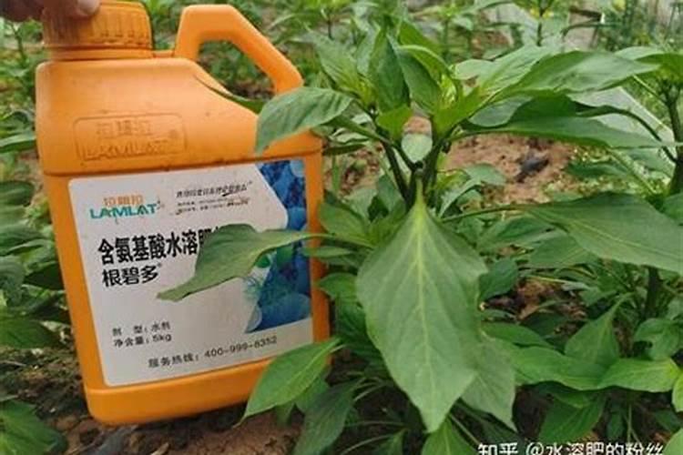 钾肥最高含量是多少
