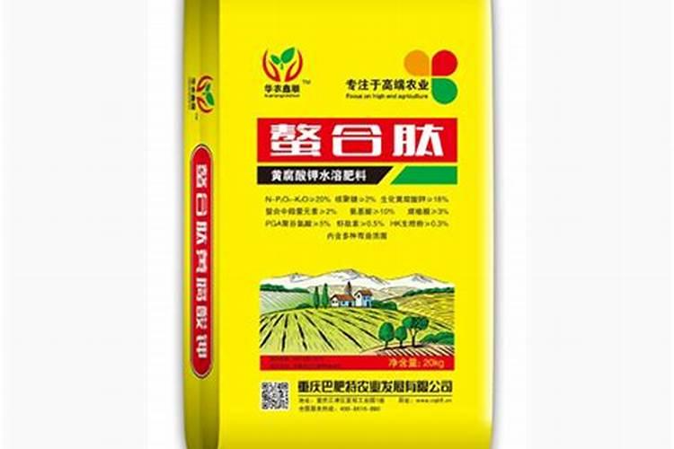 菠萝的施肥方法是什么