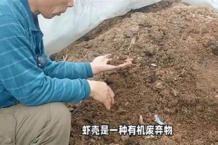 生蚝壳做成肥料方法