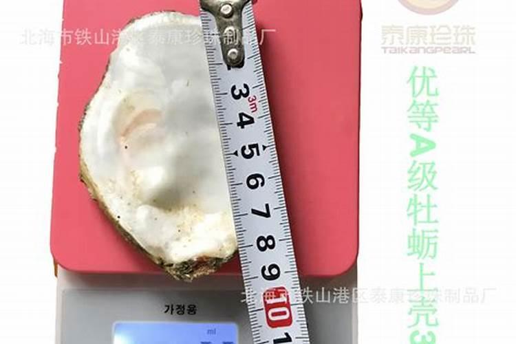 生蚝壳怎么做成花肥