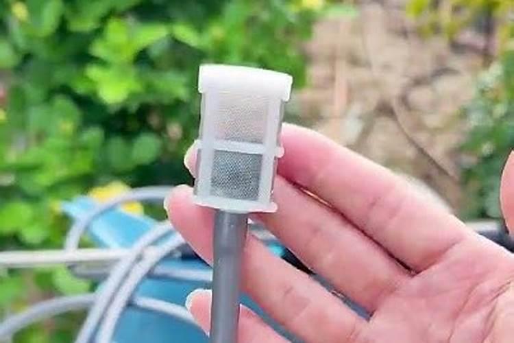 油菜叶面肥什么时间施最好花卉百科