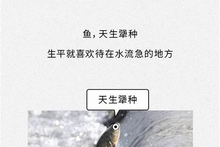 冬枣从幼年到结果需要几年