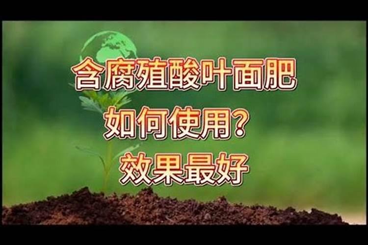 腐殖酸肥料的效果是什么？应该如何使用？