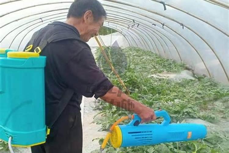 葡萄树什么时候施肥