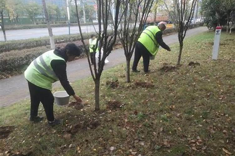 葡萄树冬季如何施肥