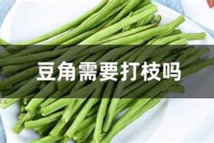 豆角用什么肥料效果好(种植豆角结果期需要什么叶面肥)