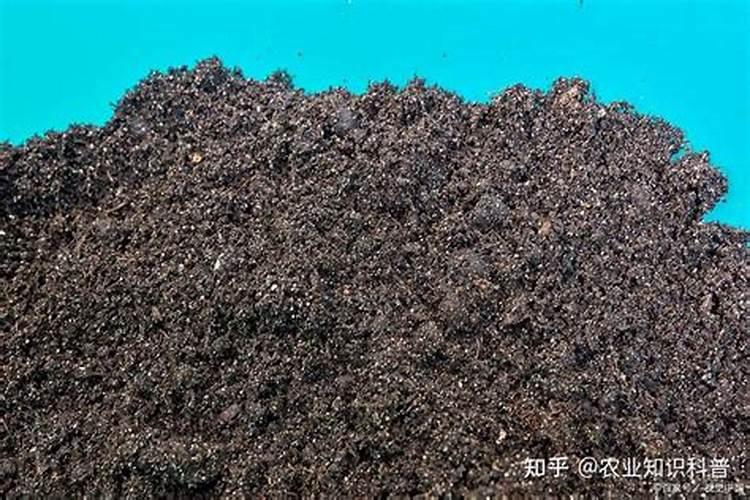 硅肥的作用及使用方法