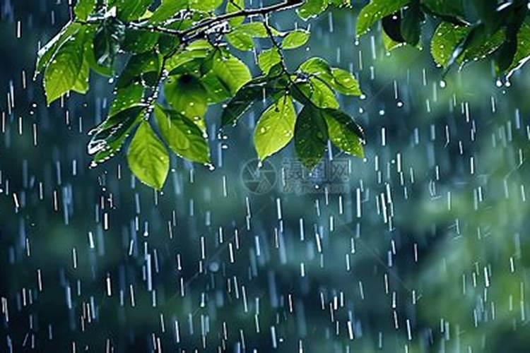复合肥下雨天能撒吗