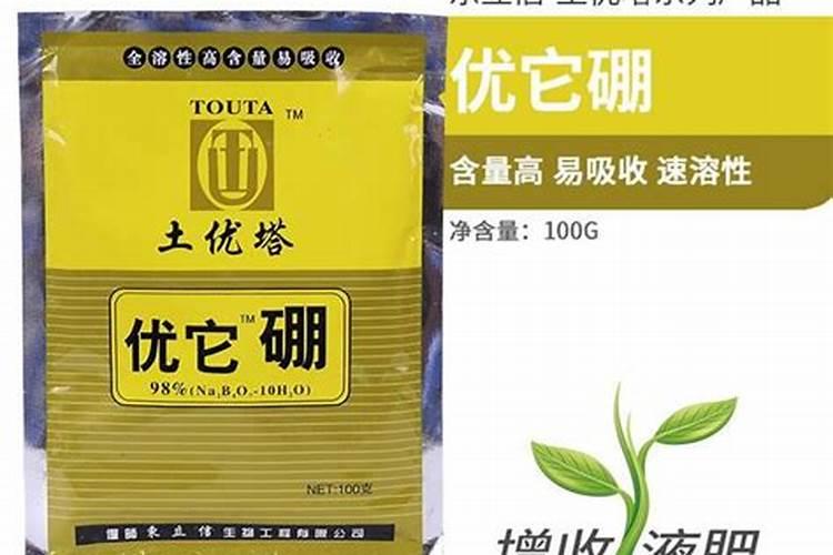 柚子树冬肥什么时候放