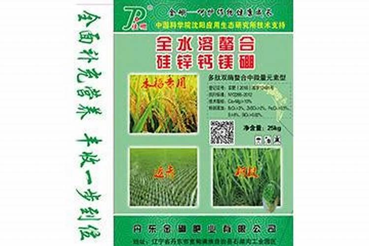5月份我买了蓝莓4年苗,种植蓝莓能活吗？