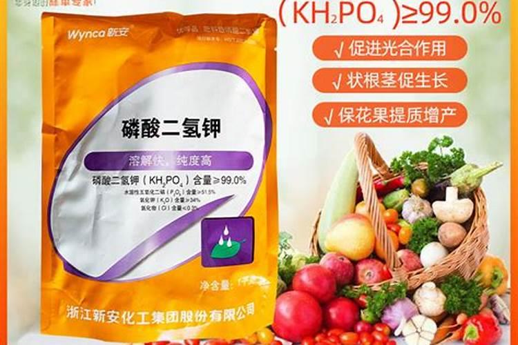 南丰蜜桔什么时候下钾肥好？