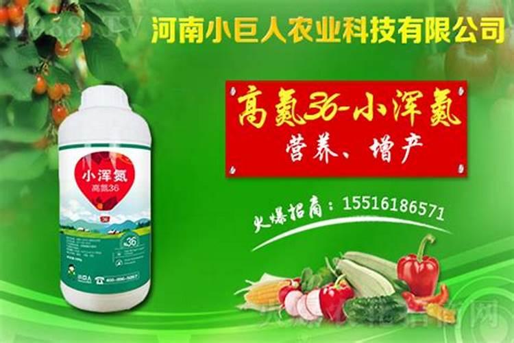 大棚油桃硬核到什么程度浇水是最佳时期？