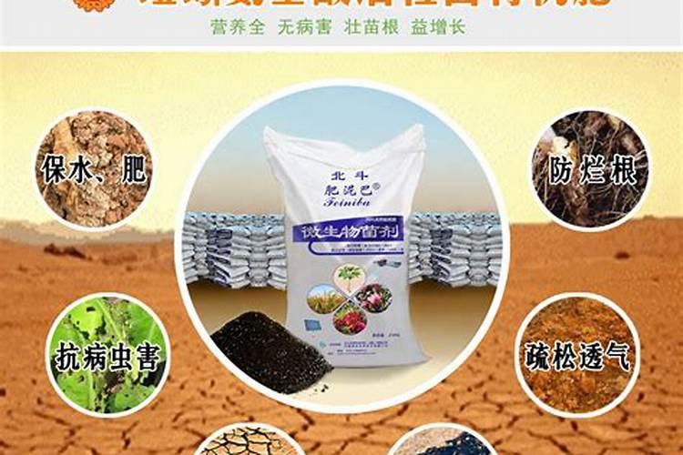 葡萄膨果期用什么肥料