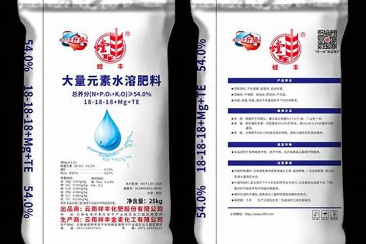蓝莓苔藓幼苗怎么养