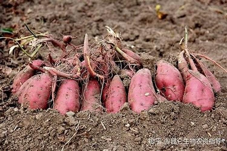 中国的氮肥 磷肥 钾肥 主要生产原料分别是什么？