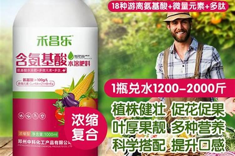 氨基酸液体肥料的功效与作用