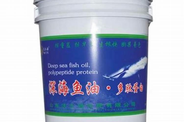 鱼油比鱼是否更有利于健康