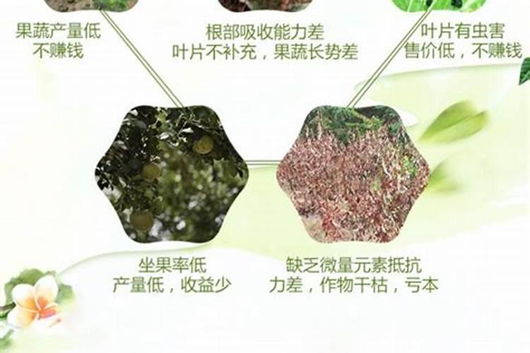 种花生和复合肥和种子放一块能发芽吗