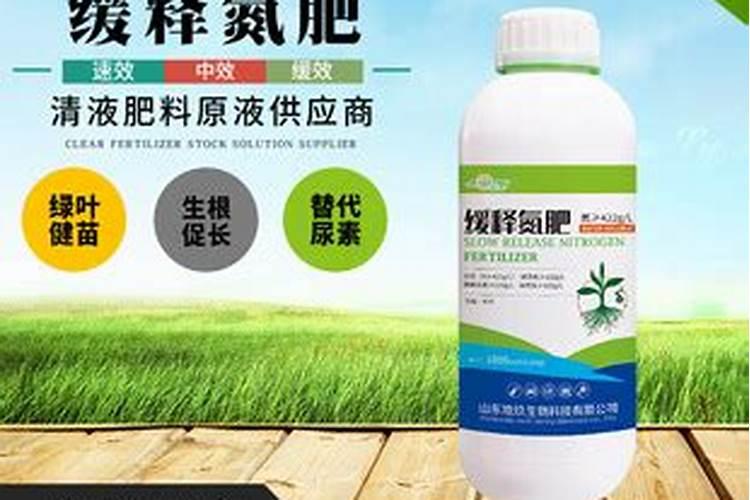 小麦压冻水时施氮肥好还是返青水施氮肥好？